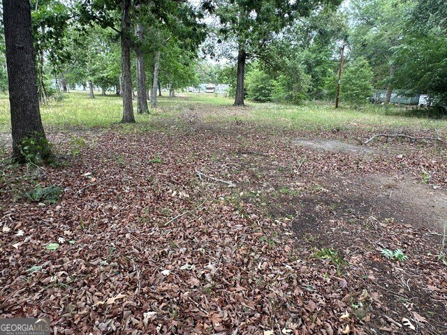 308 Three Rivers Lane Uvalda - Photo 25