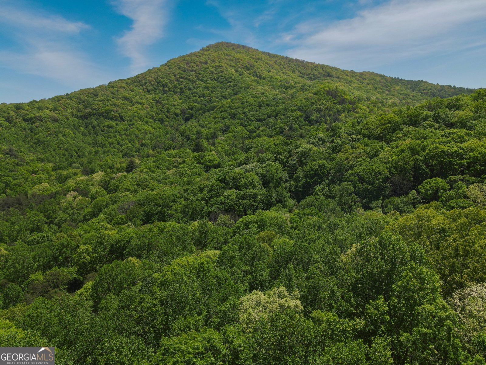 1574 Long Ridge Road Hiawassee - Photo 22