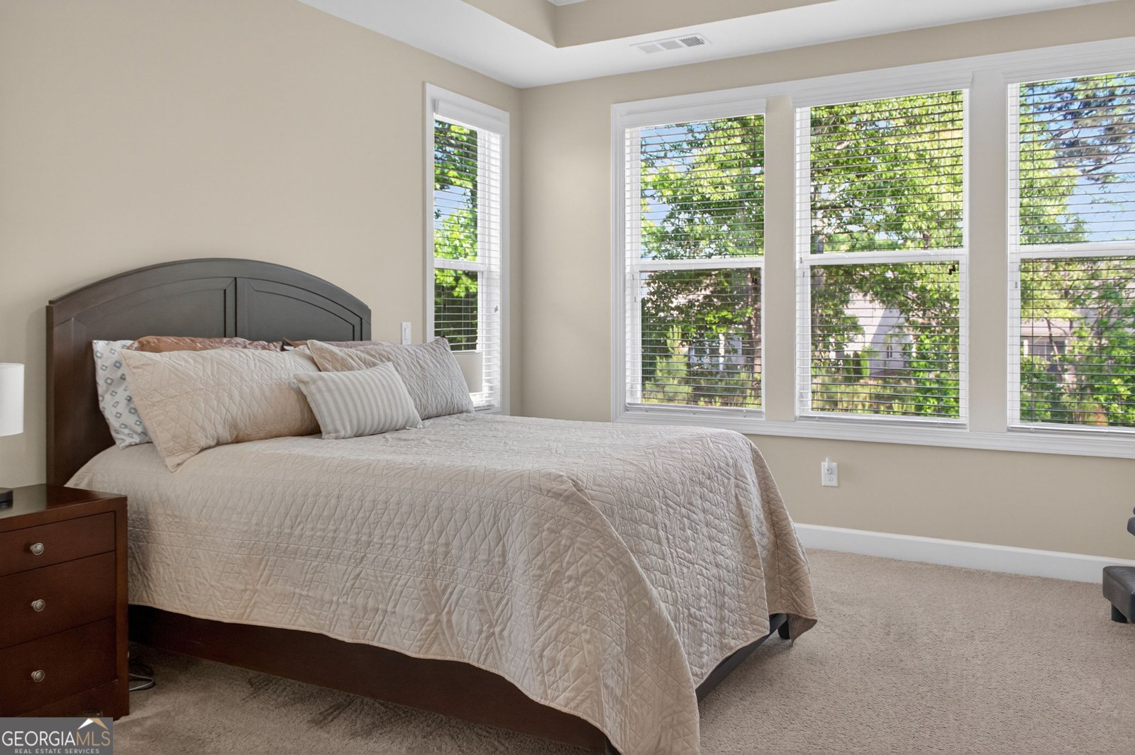 380 Falcon Way Hoschton - Photo 59