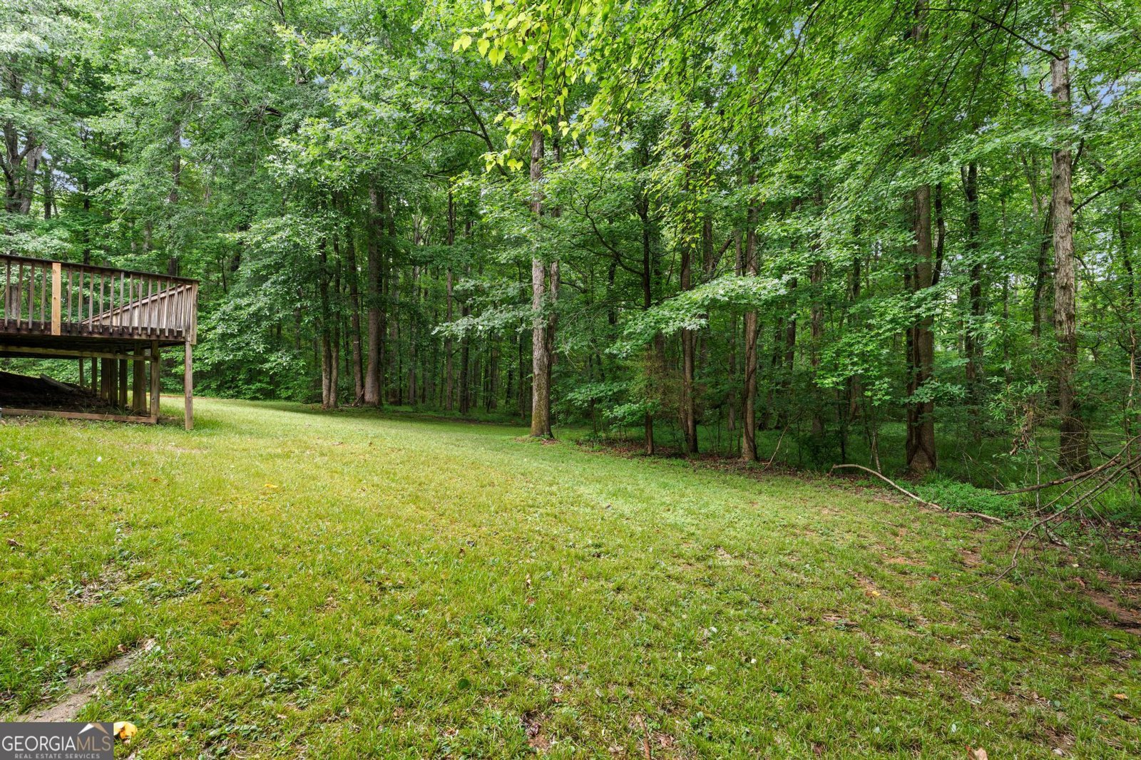 150 Brooks Drive Tyrone - Photo 36