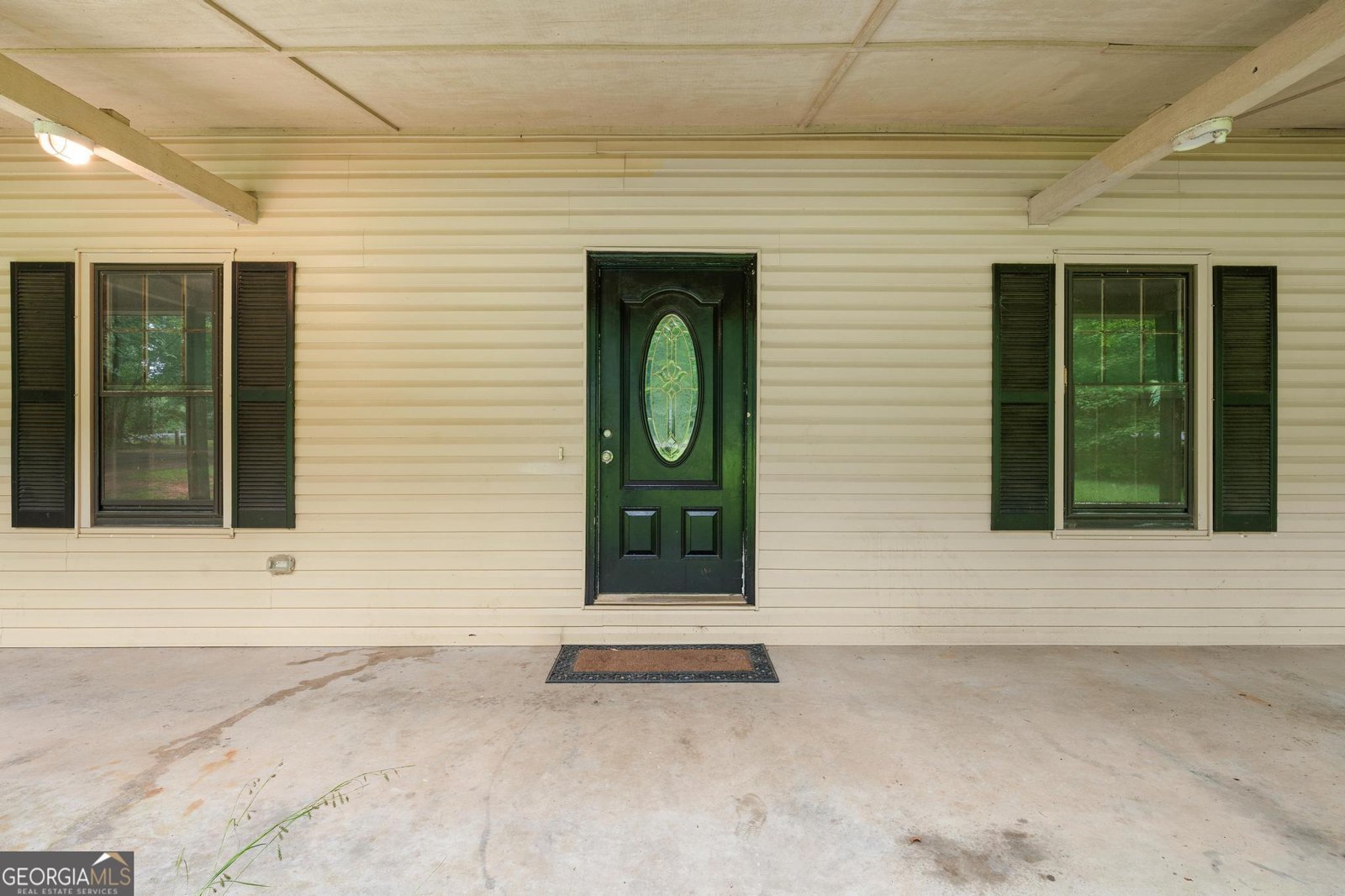 150 Brooks Drive Tyrone - Photo 38