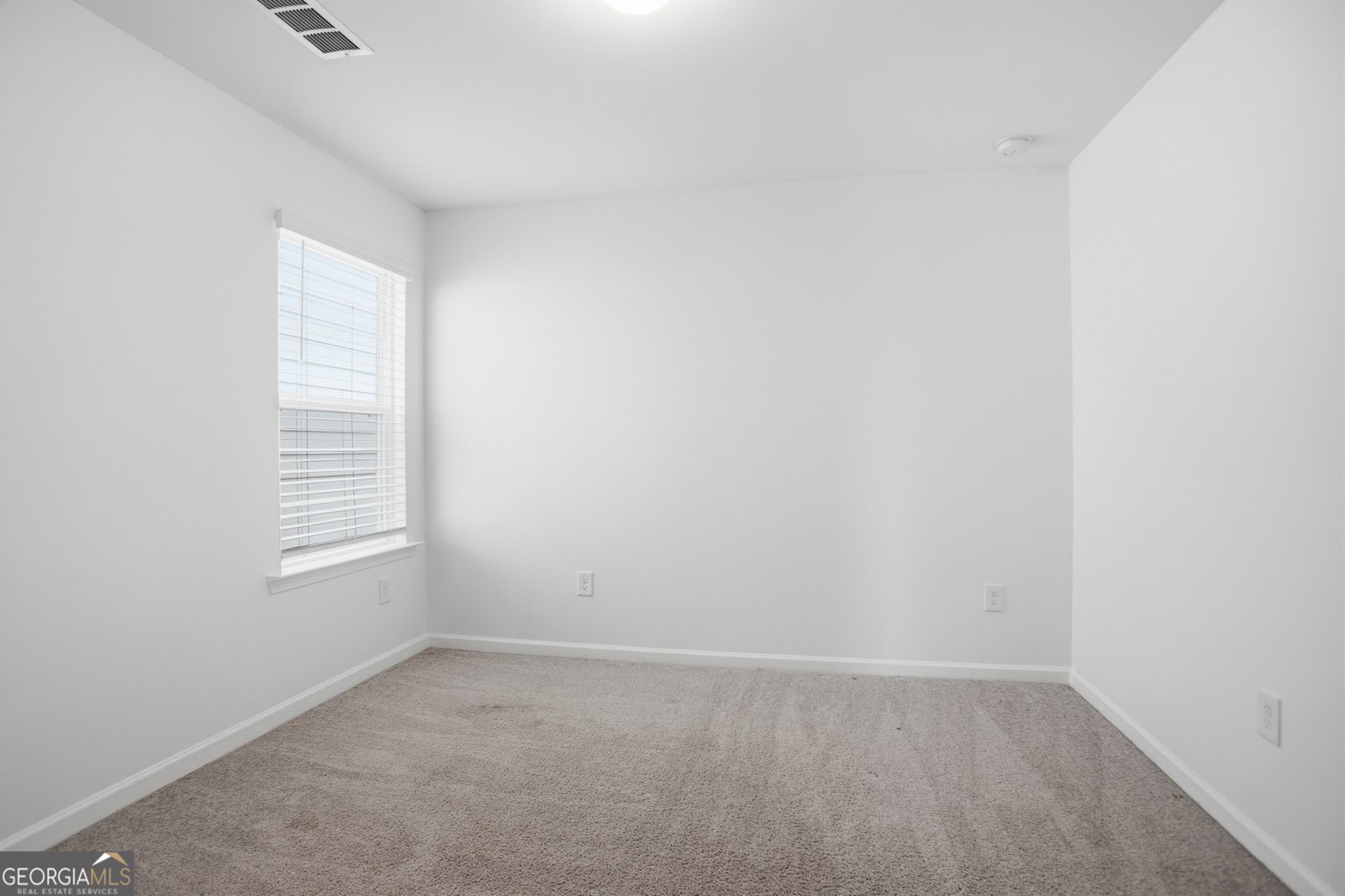 505 Ruths Drive Woodstock - Photo 19