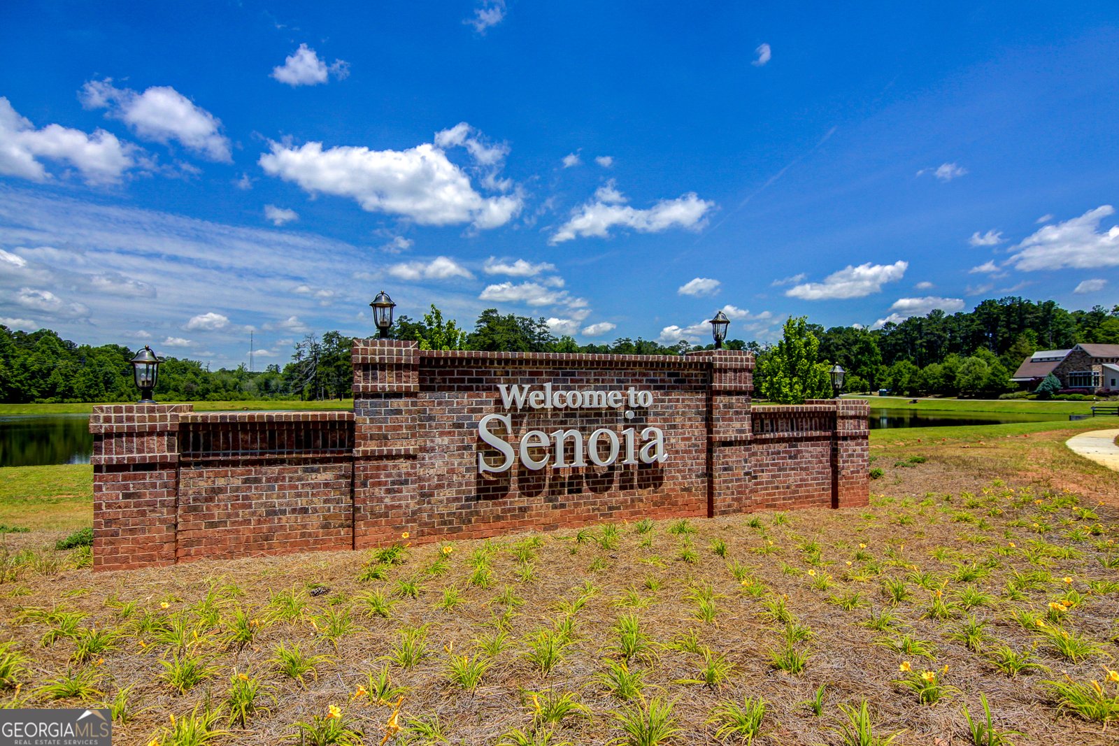 285 Savannah Drive Senoa - Photo 54
