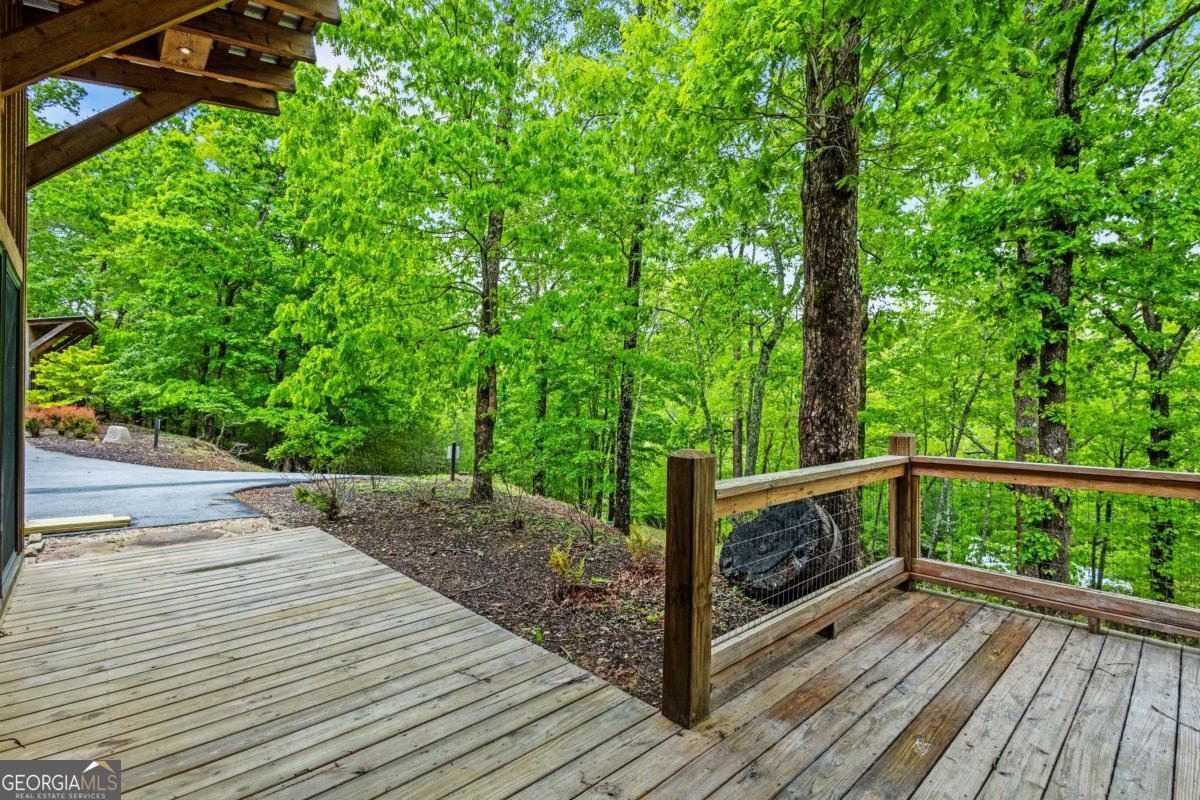 2745 Galloway Road Blue Ridge - Photo 37