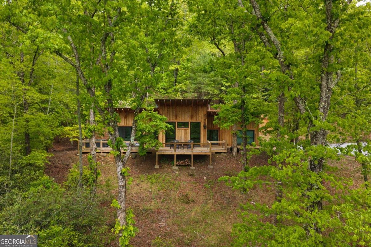 2745 Galloway Road Blue Ridge - Photo 40