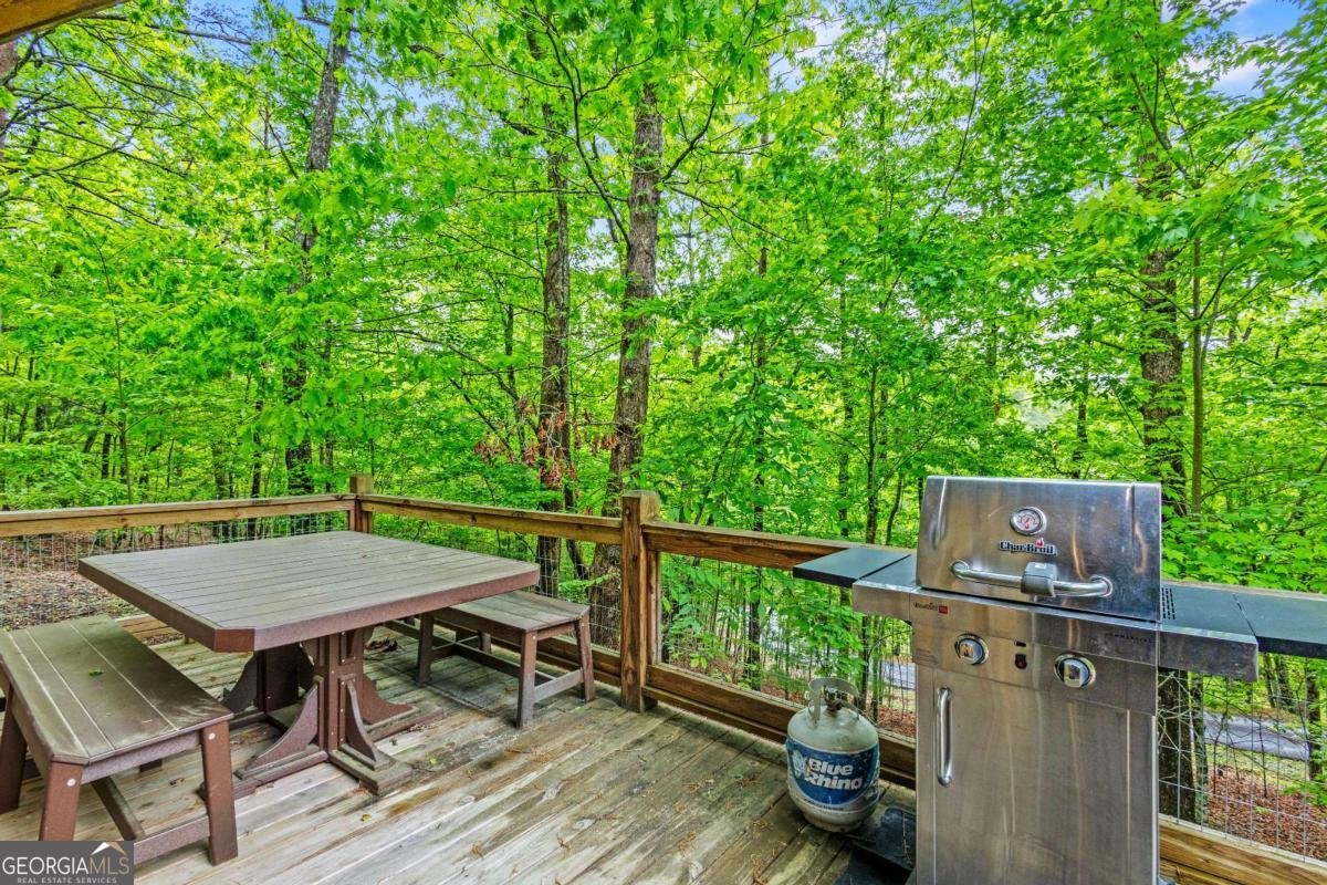 2745 Galloway Road Blue Ridge - Photo 41