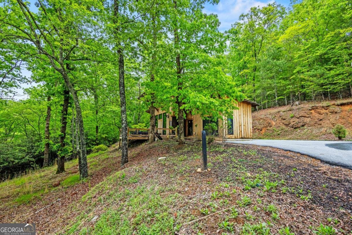 2745 Galloway Road Blue Ridge - Photo 42