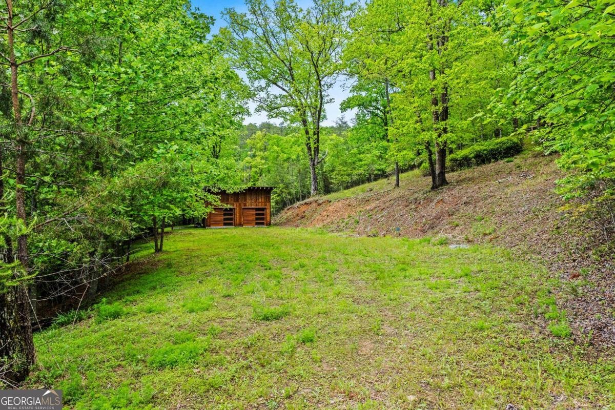 2745 Galloway Road Blue Ridge - Photo 45