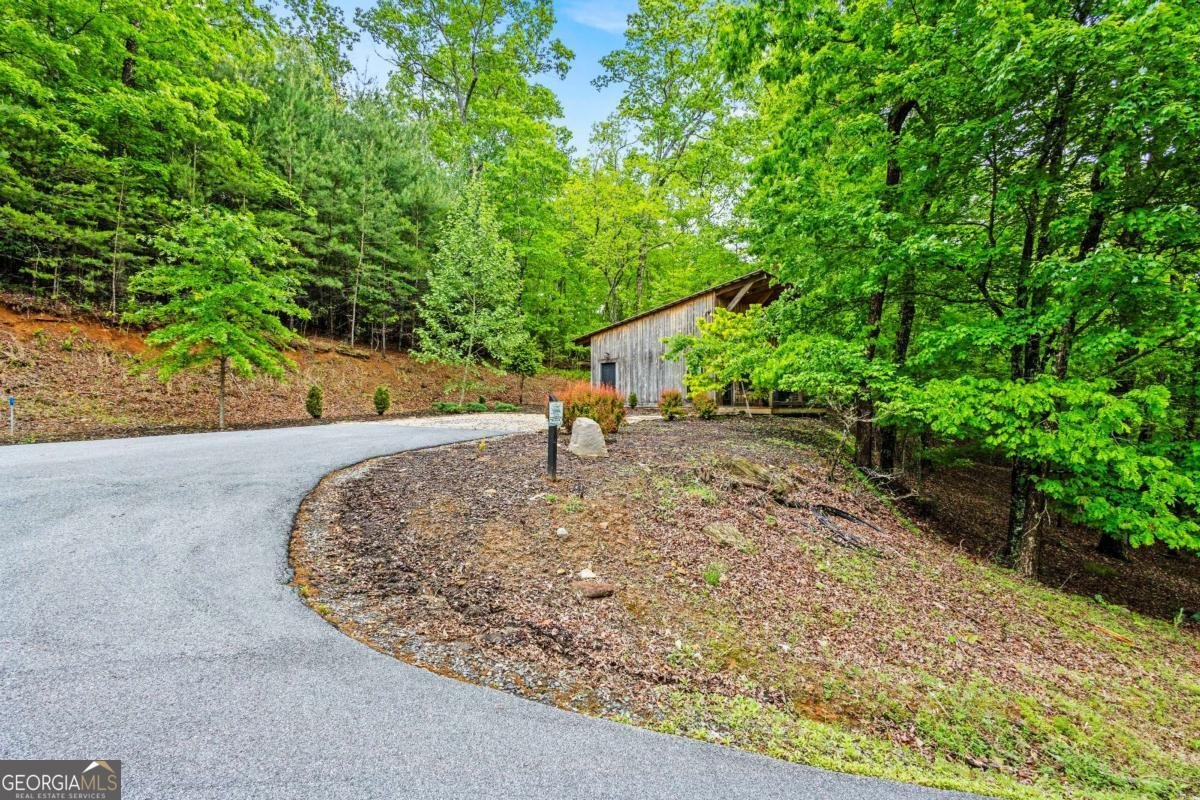 2745 Galloway Road Blue Ridge - Photo 46