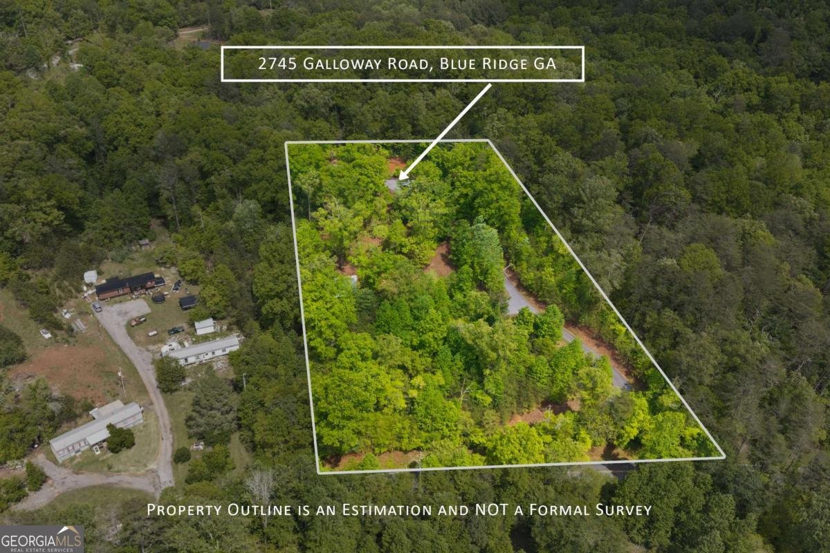 2745 Galloway Road Blue Ridge - Photo 48