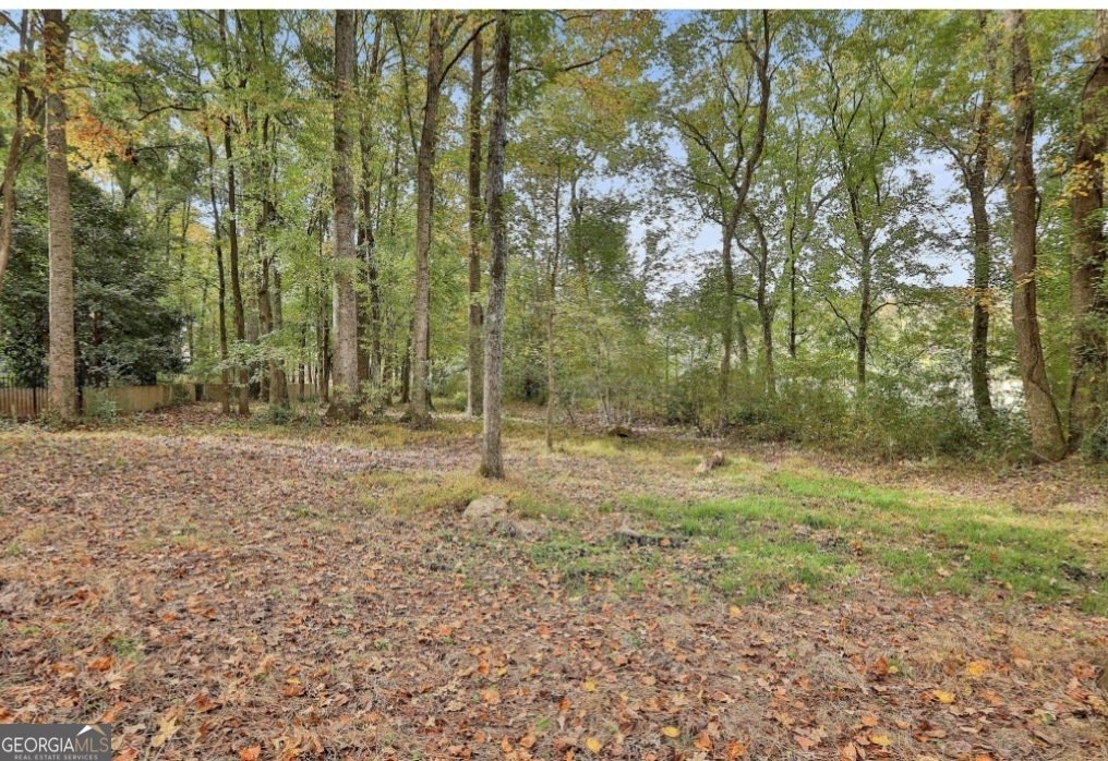20 Audubon Point Newnan - Photo 38
