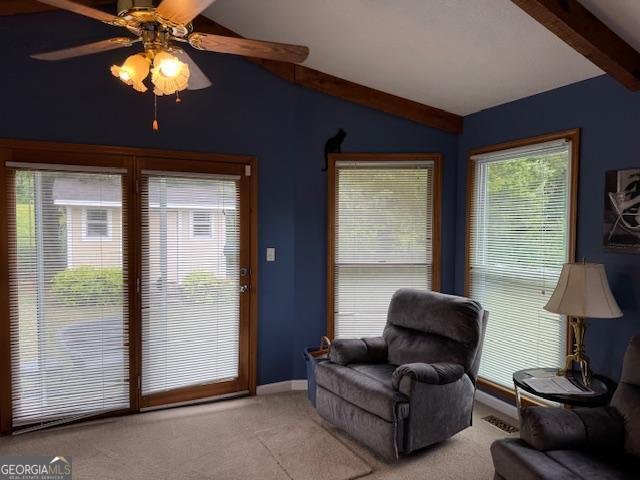 462 Oakwood Dr Cedartown - Photo 19