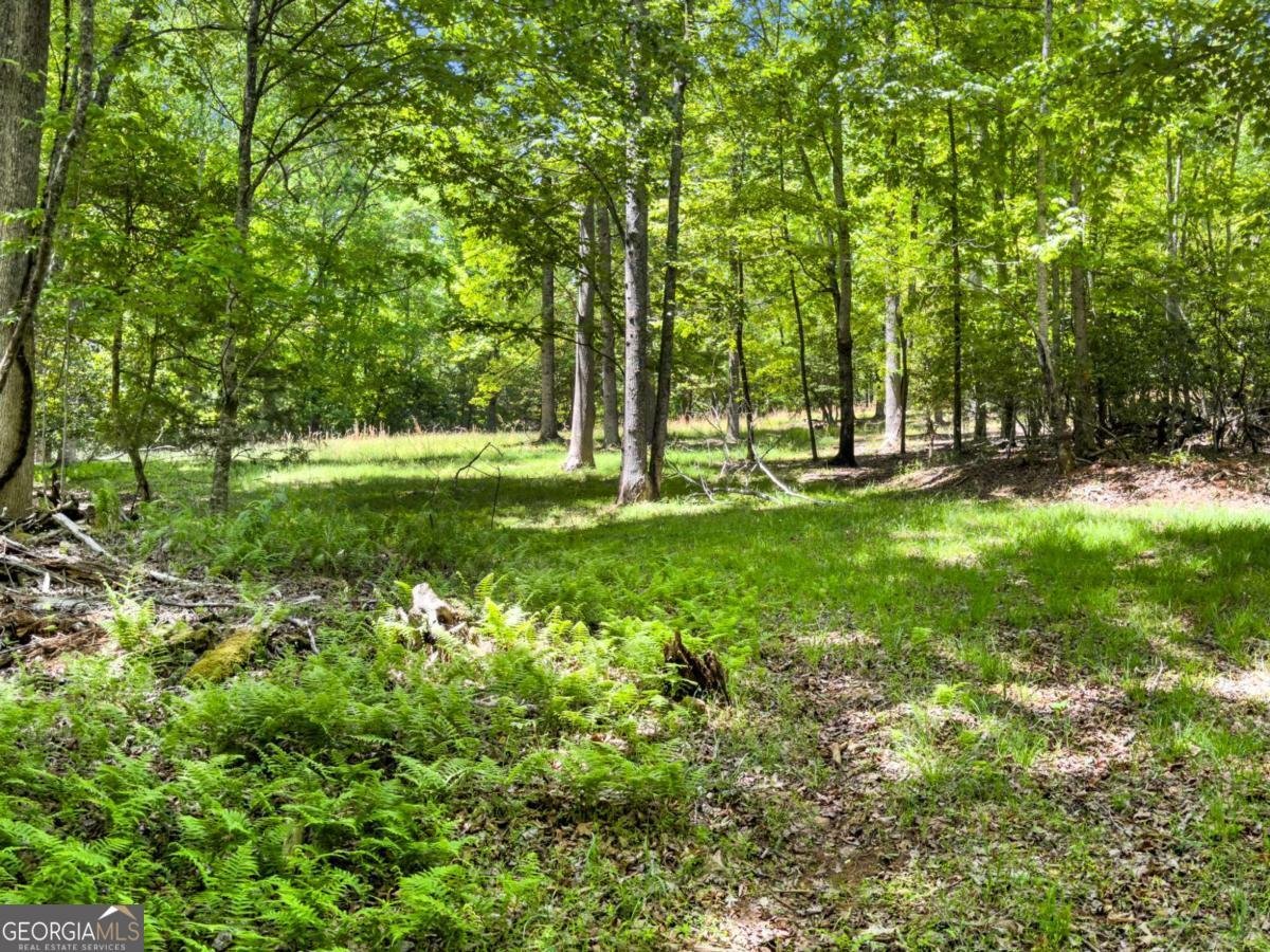 220 Evans Lane Lakemont - Photo 47