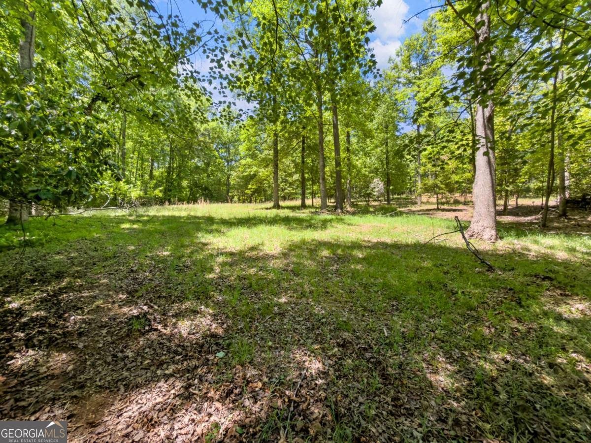 220 Evans Lane Lakemont - Photo 48