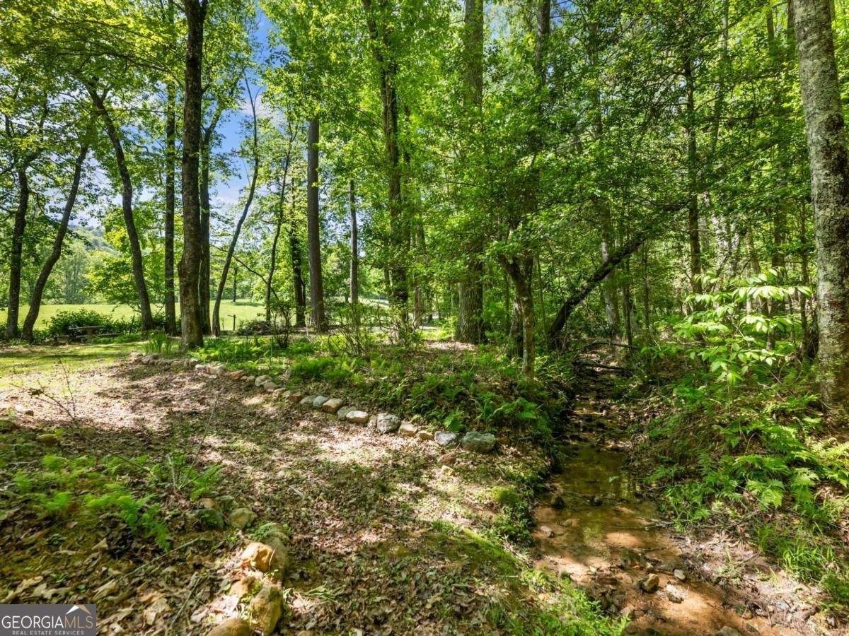 220 Evans Lane Lakemont - Photo 50