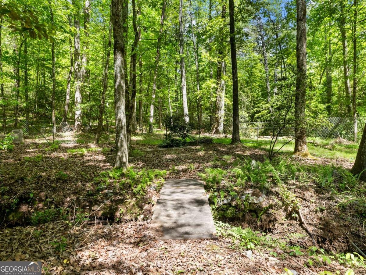220 Evans Lane Lakemont - Photo 51