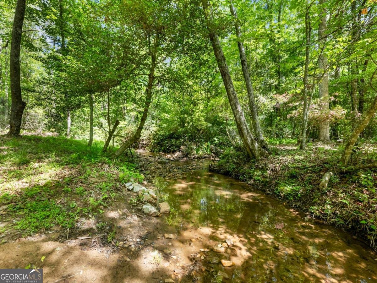 220 Evans Lane Lakemont - Photo 53
