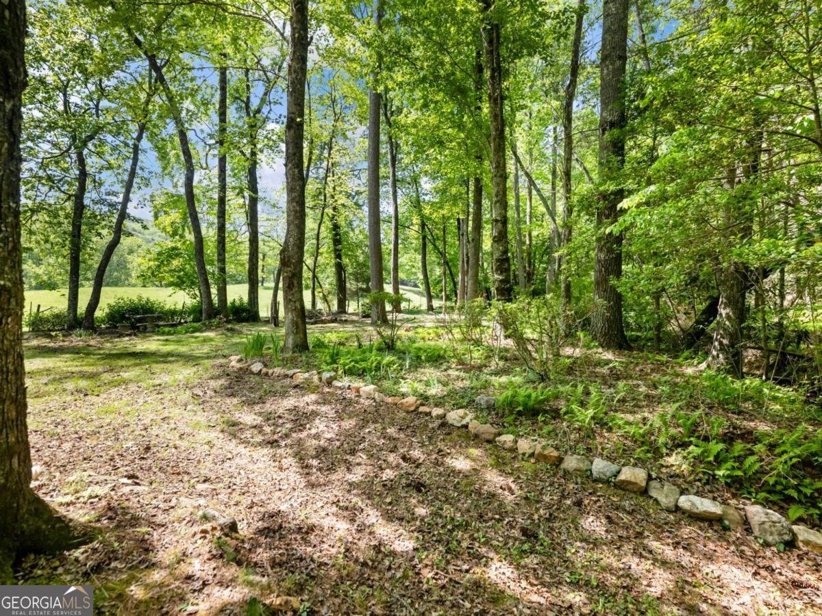 220 Evans Lane Lakemont - Photo 56