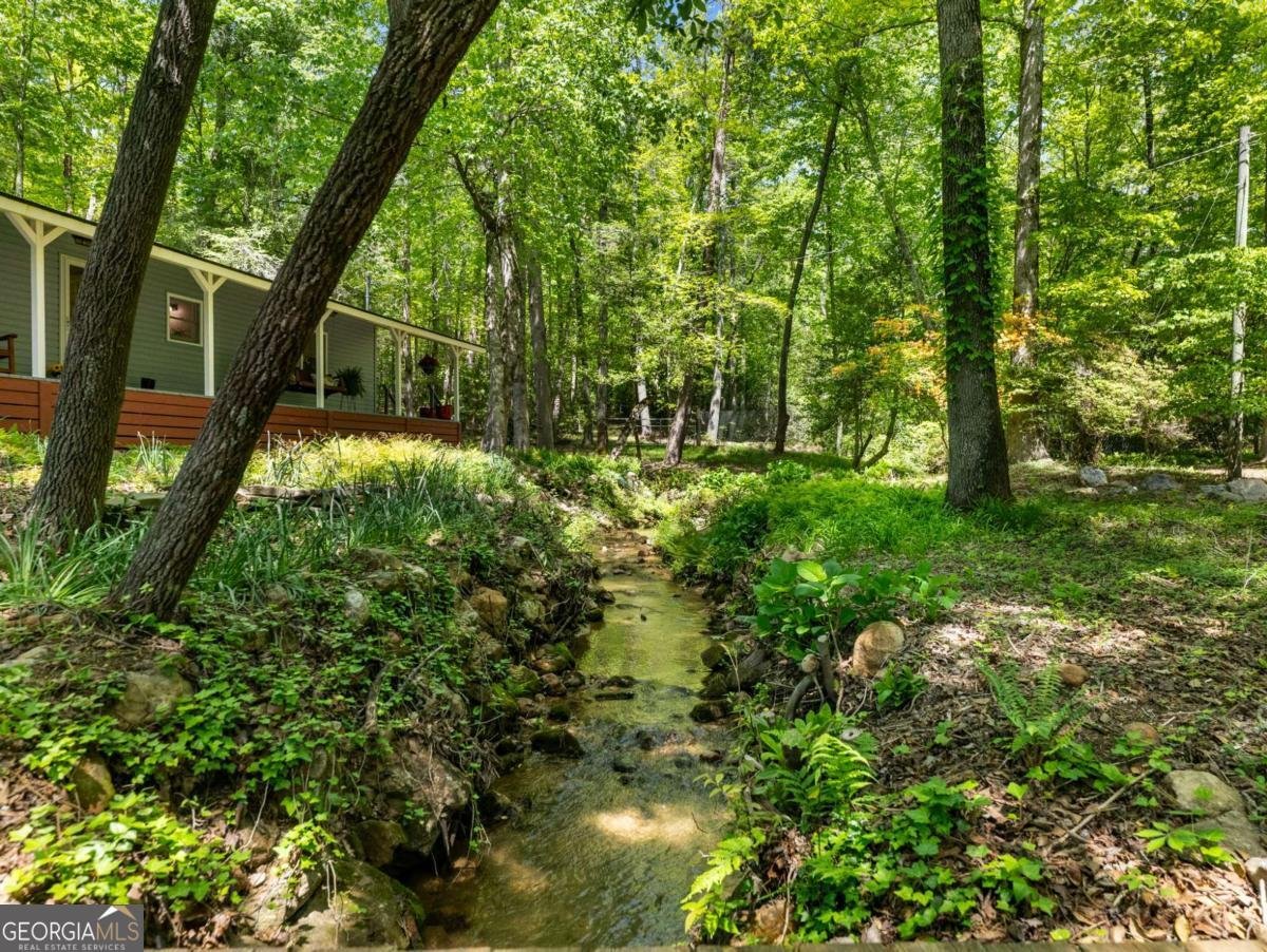 220 Evans Lane Lakemont - Photo 59