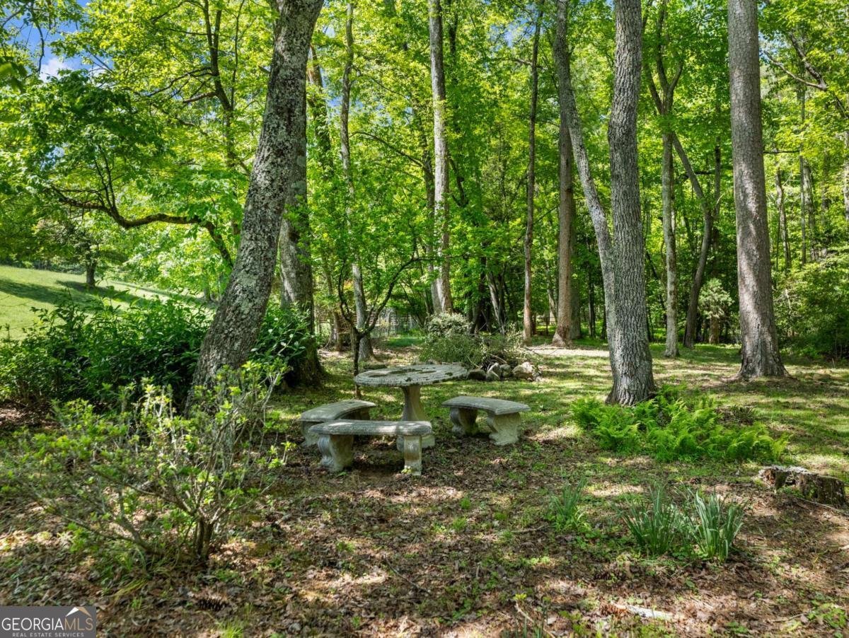 220 Evans Lane Lakemont - Photo 79