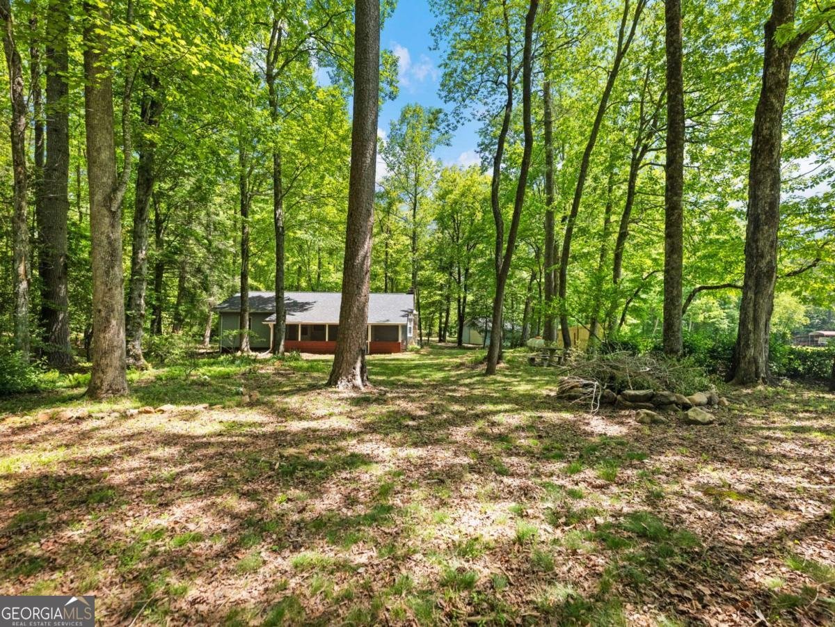 220 Evans Lane Lakemont - Photo 81