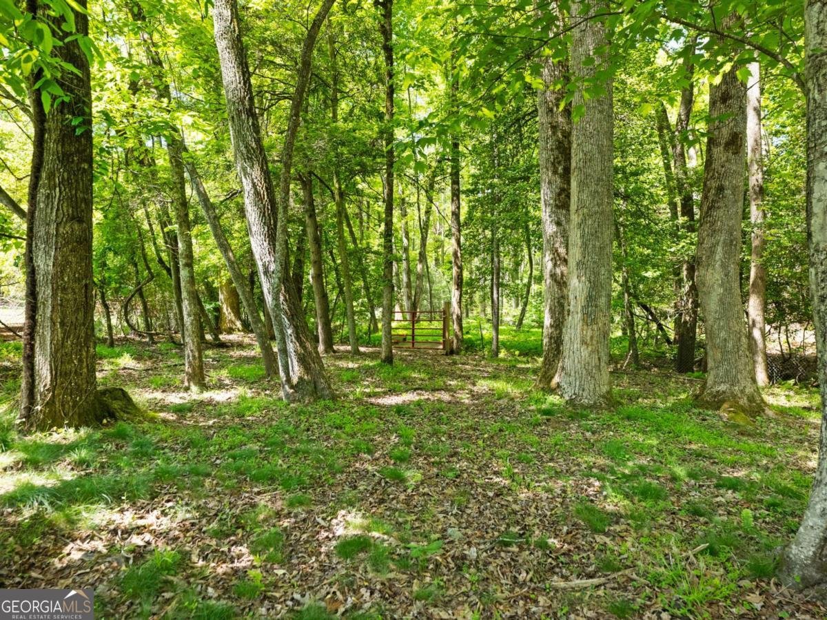 220 Evans Lane Lakemont - Photo 82