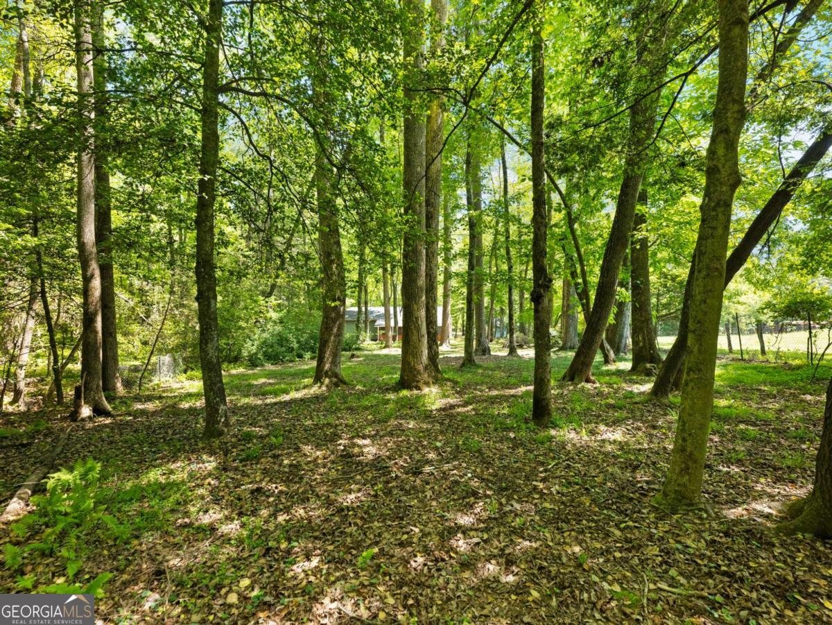 220 Evans Lane Lakemont - Photo 85