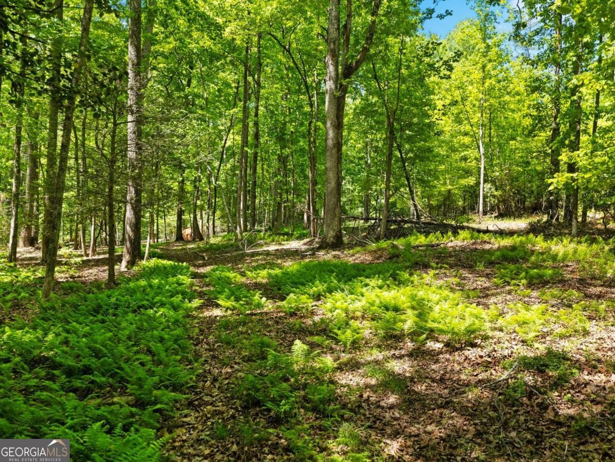 220 Evans Lane Lakemont - Photo 86