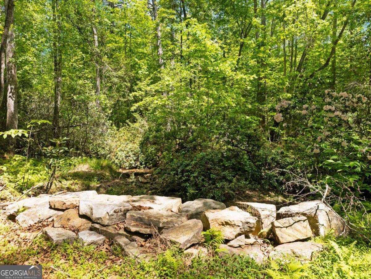 220 Evans Lane Lakemont - Photo 87