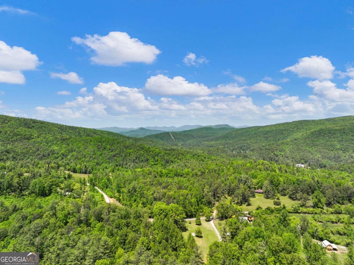 220 Evans Lane Lakemont - Photo 90
