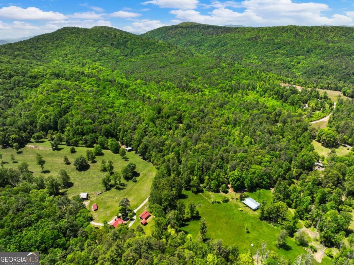 220 Evans Lane Lakemont - Photo 97