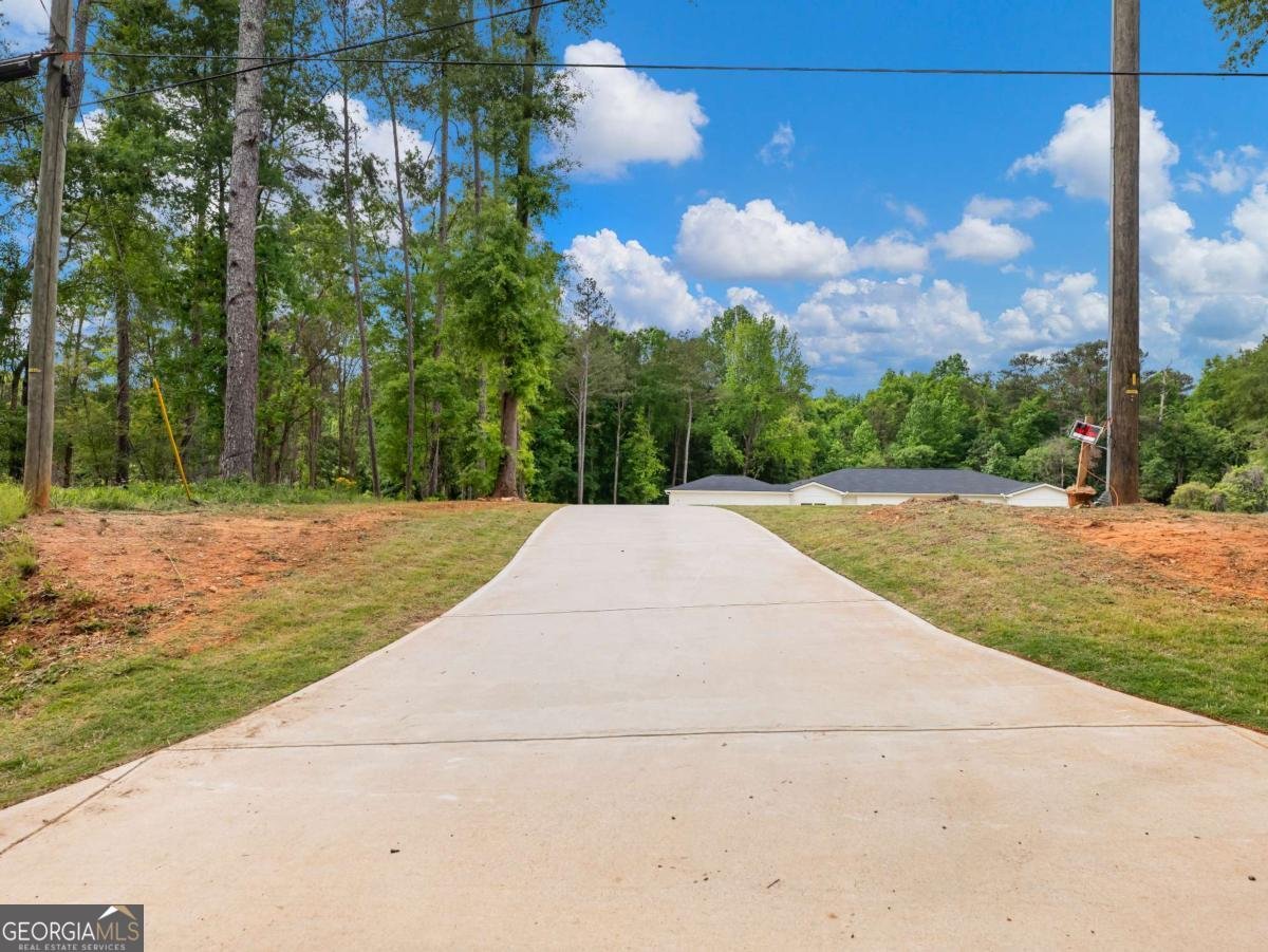 586 Cook Drive Ellenwood - Photo 24