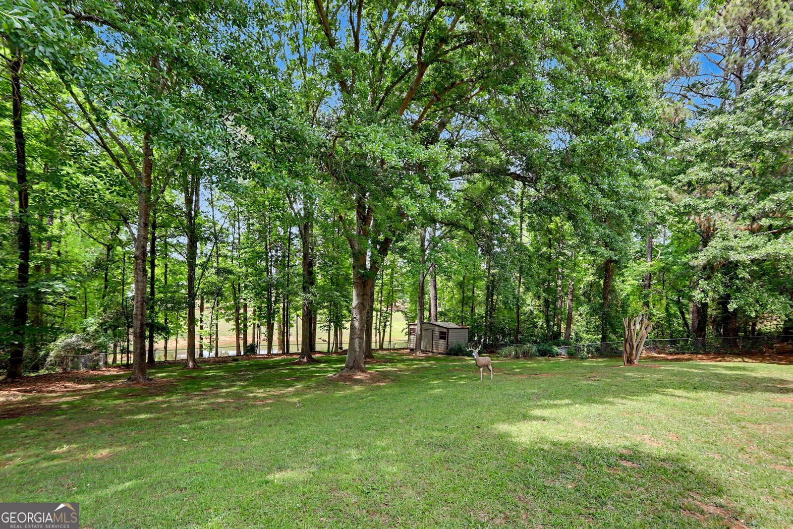 1161 Woodlands Road Watkinsville - Photo 9