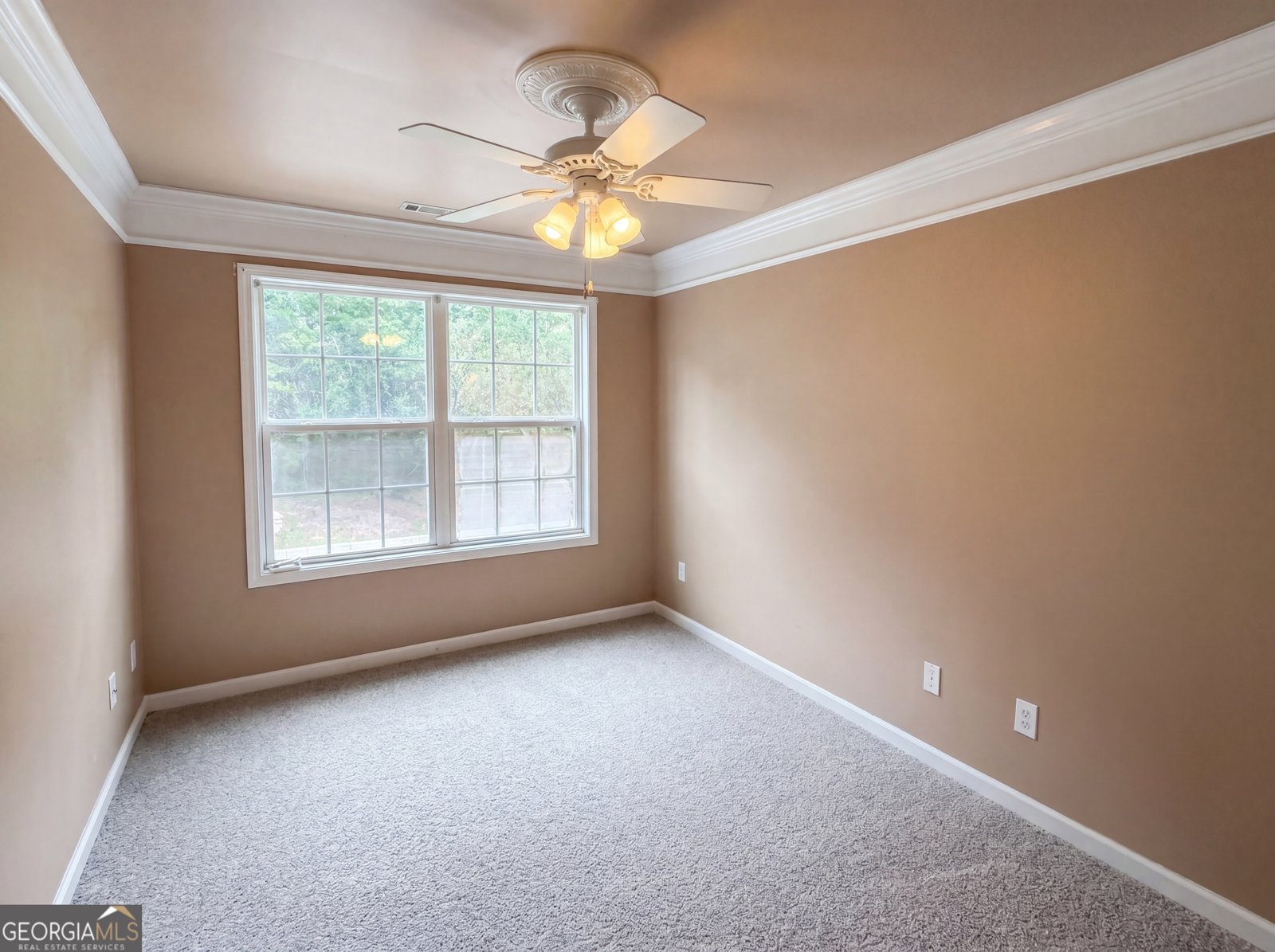 207 Cagle Court McDonough - Photo 17