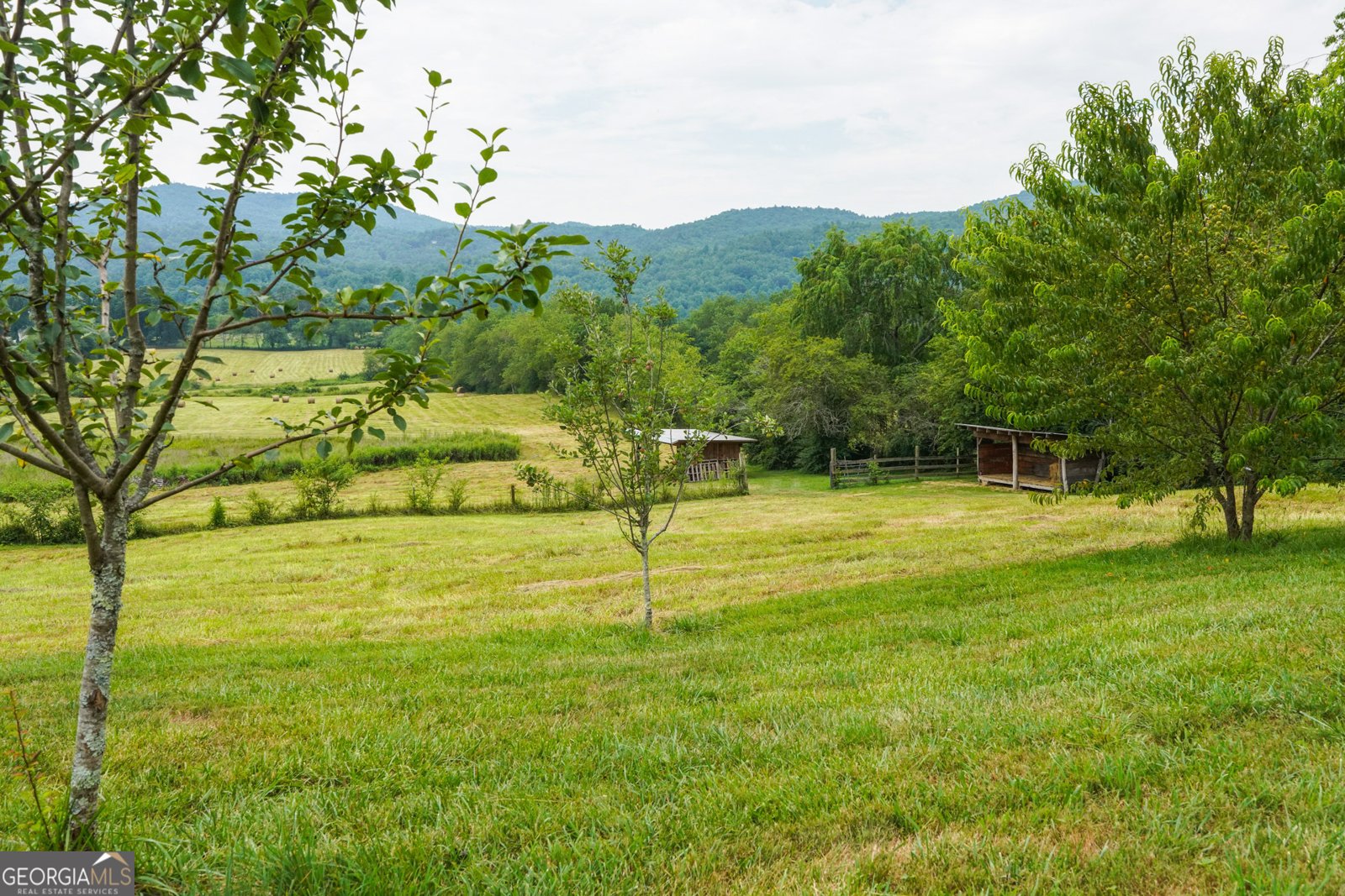 5192 Wolffork Road Rabun Gap - Photo 10