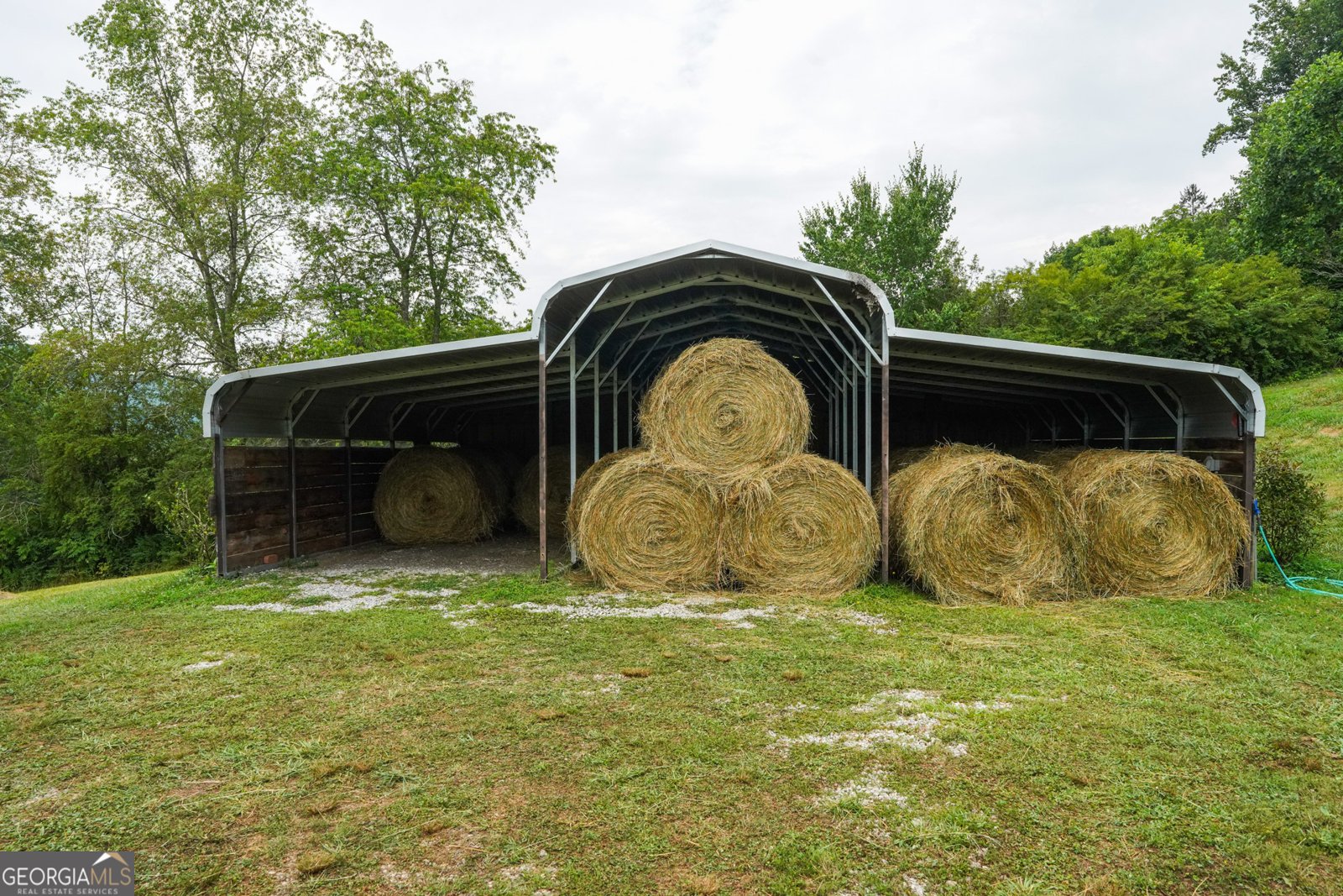 5192 Wolffork Road Rabun Gap - Photo 12