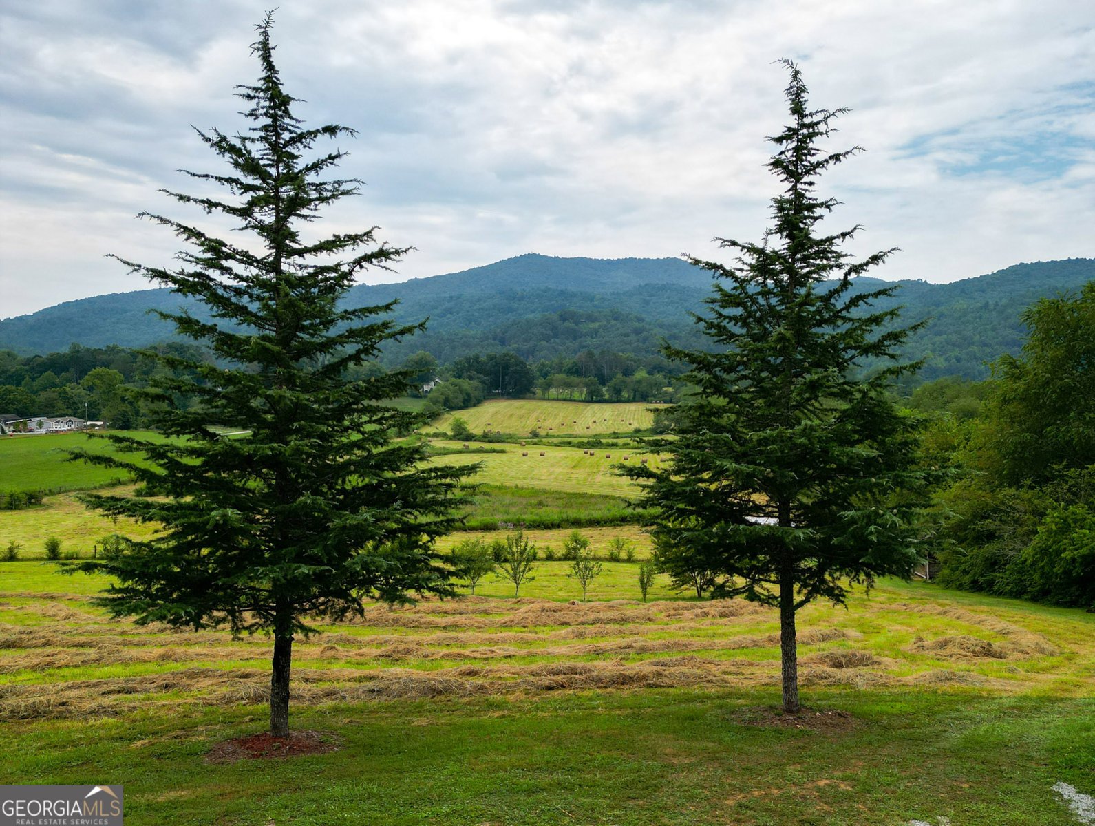 5192 Wolffork Road Rabun Gap - Photo 38