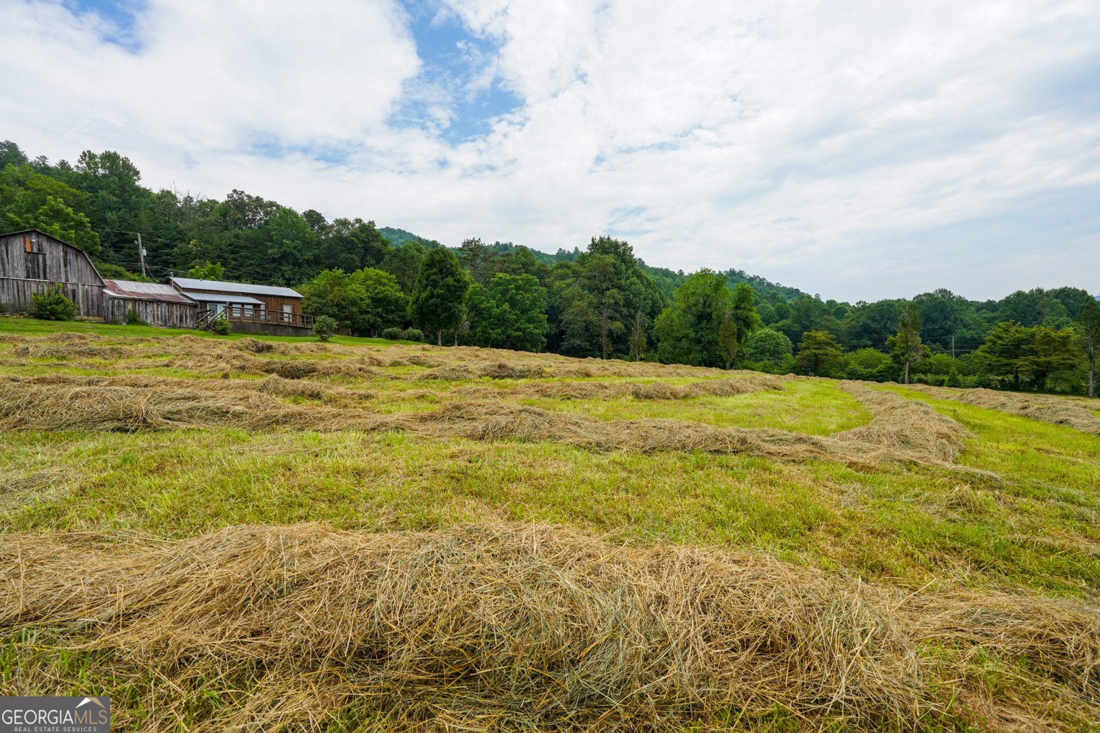 5192 Wolffork Road Rabun Gap - Photo 45