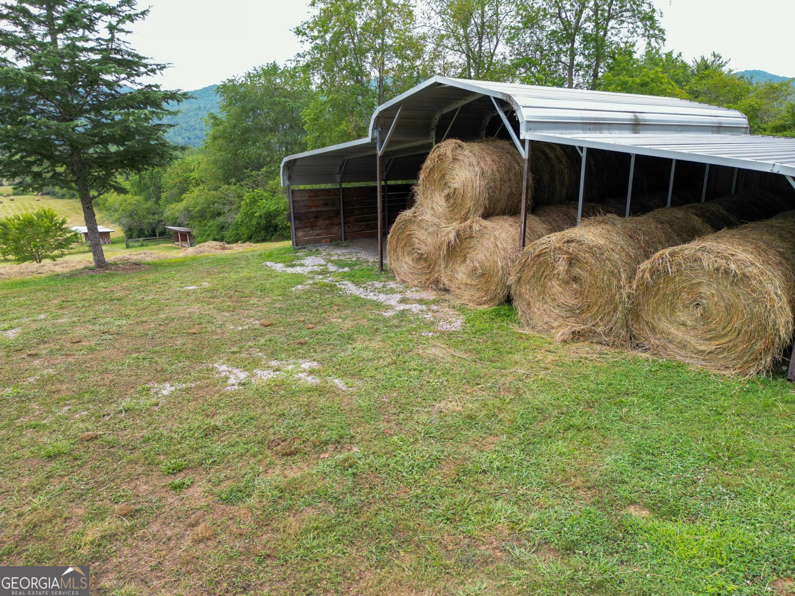 5192 Wolffork Road Rabun Gap - Photo 8