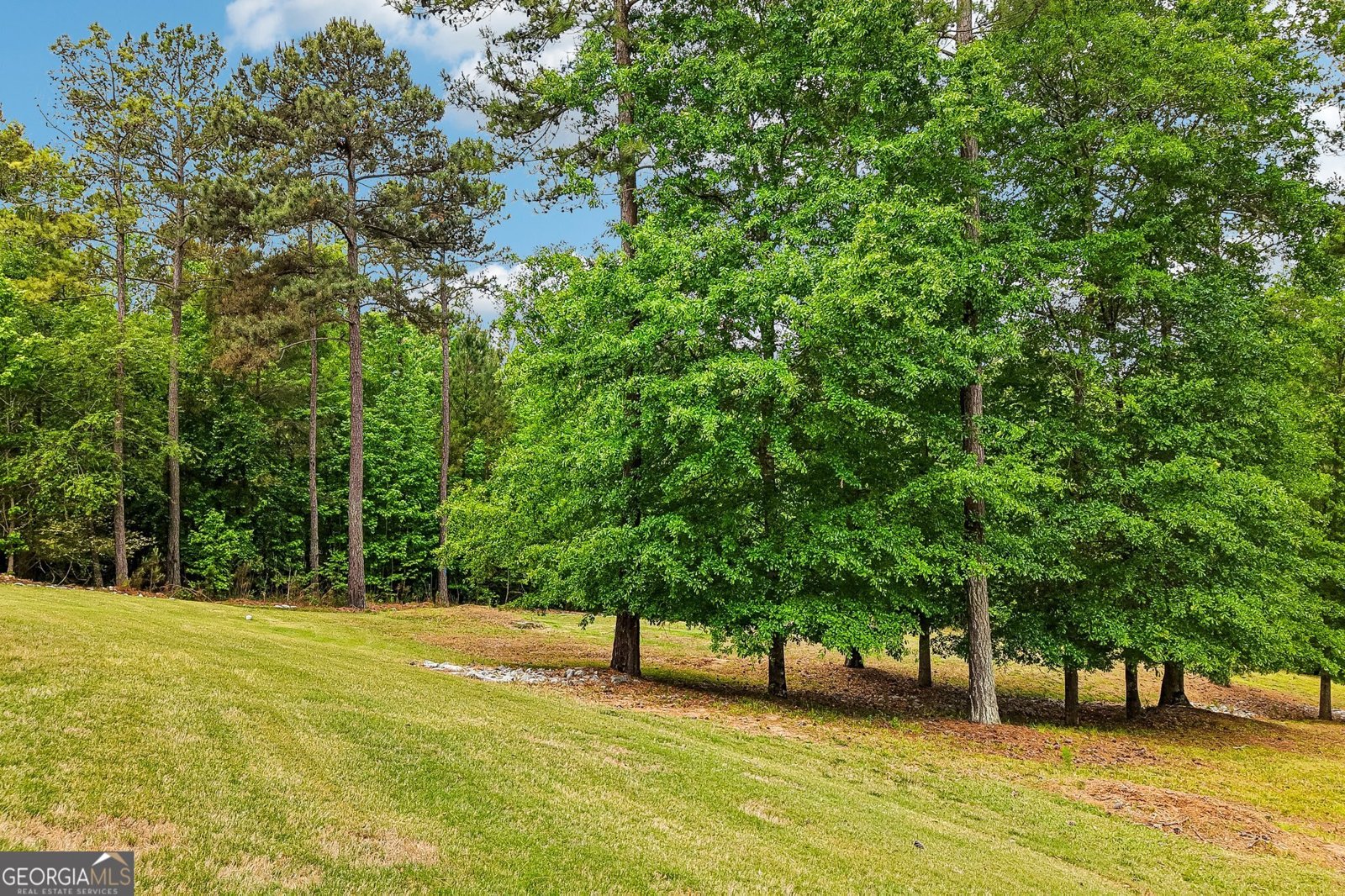 109 Sagewood Court Newnan - Photo 65