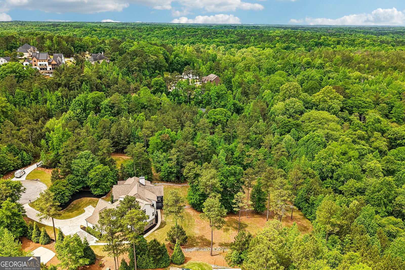 109 Sagewood Court Newnan - Photo 67