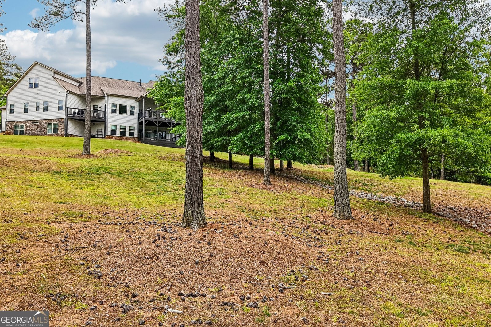 109 Sagewood Court Newnan - Photo 68