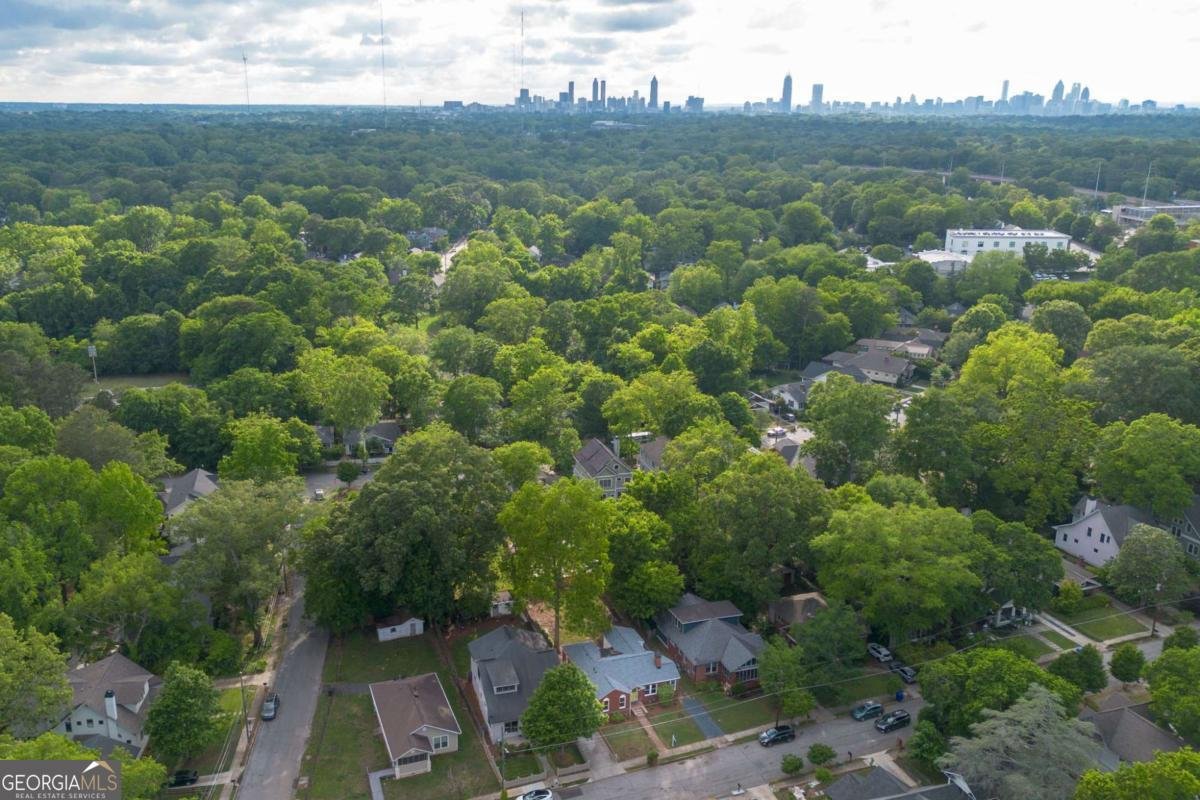 267 Cambridge Avenue Decatur - Photo 48