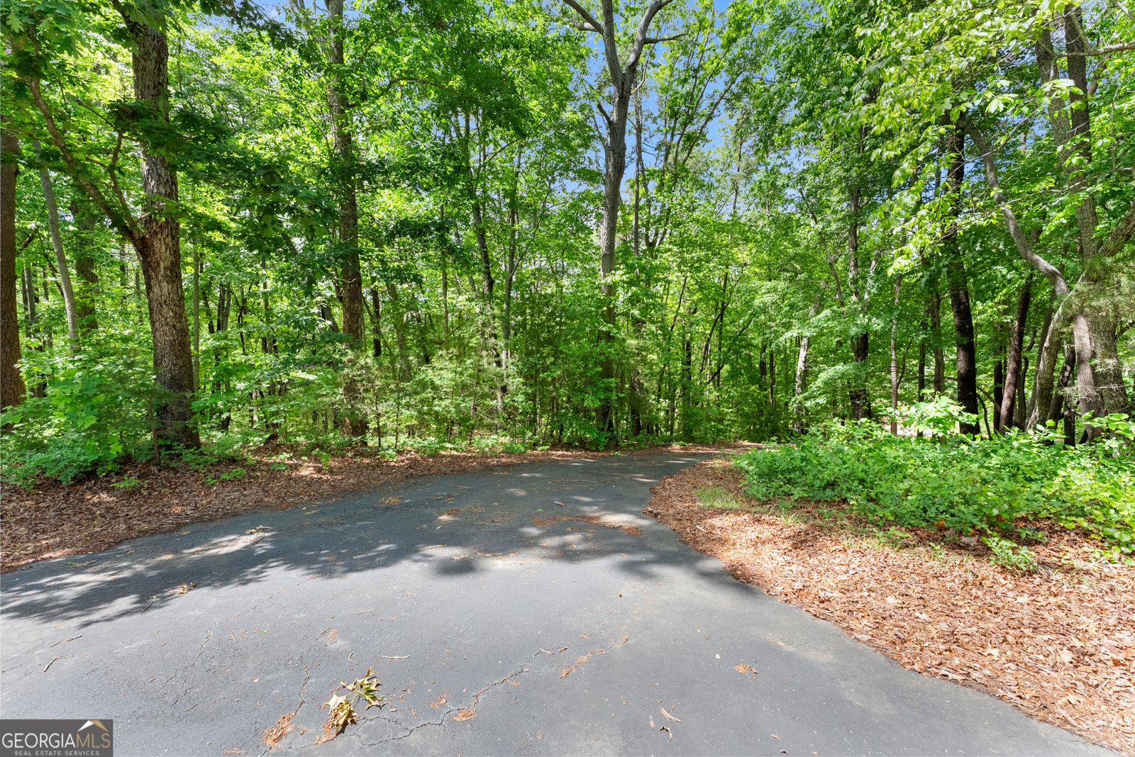 250 Truelove Road Cleveland - Photo 42