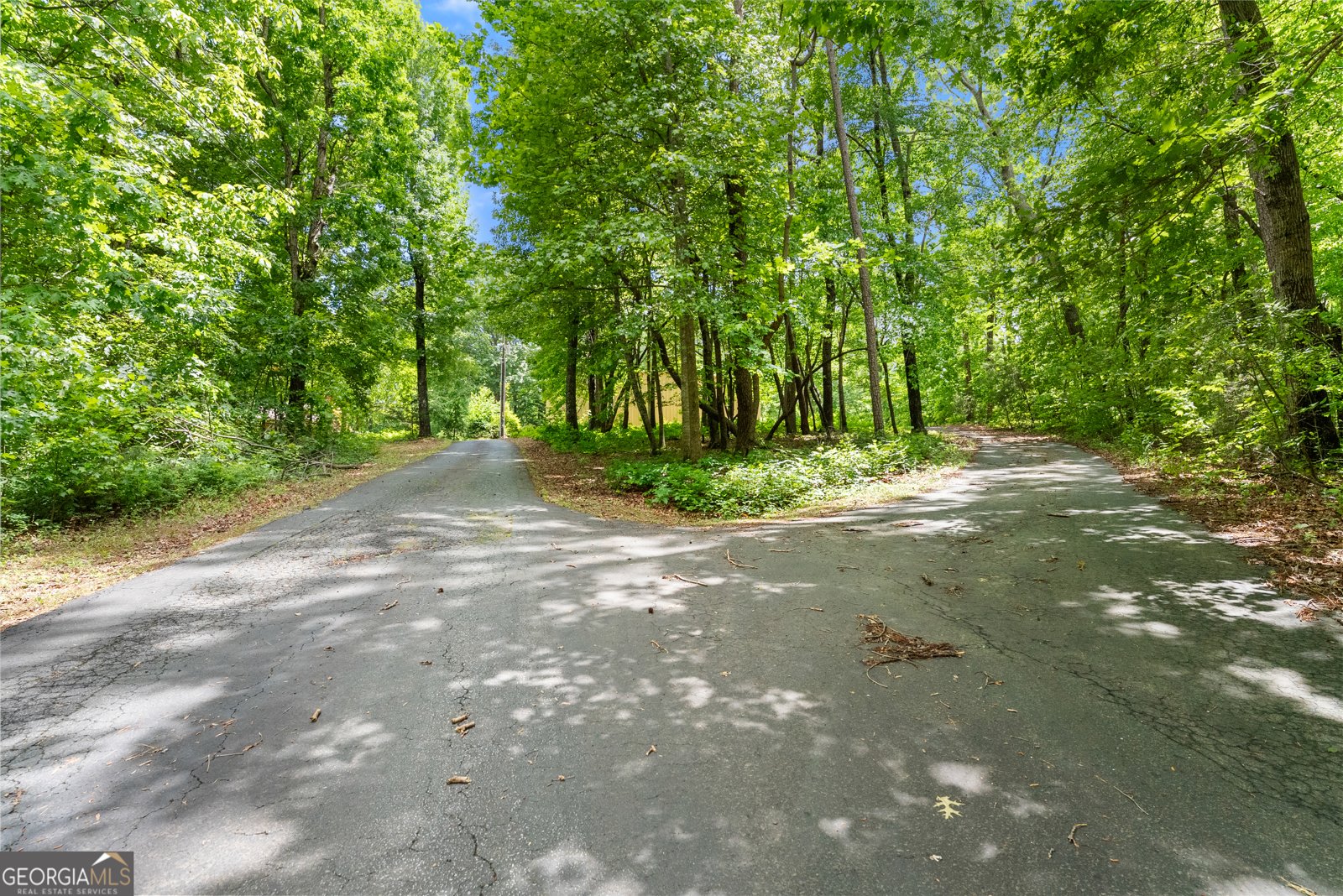 250 Truelove Road Cleveland - Photo 47