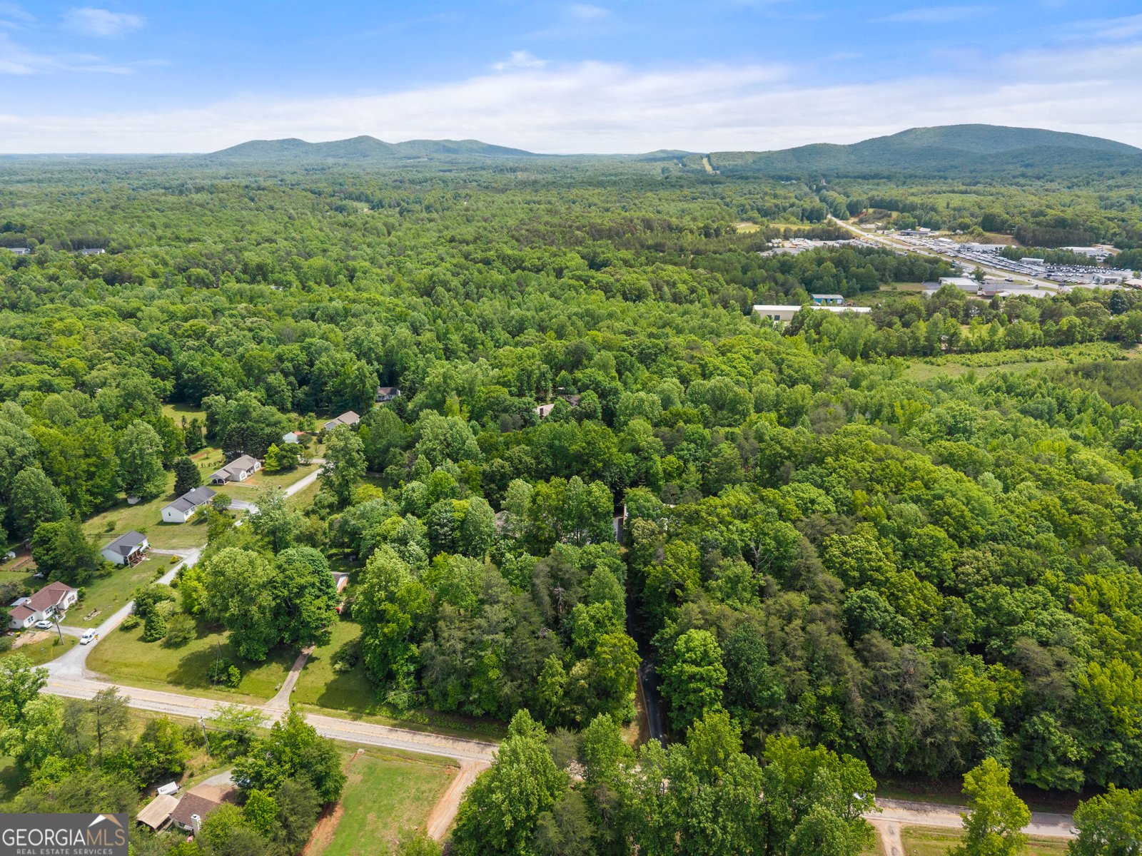 250 Truelove Road Cleveland - Photo 51