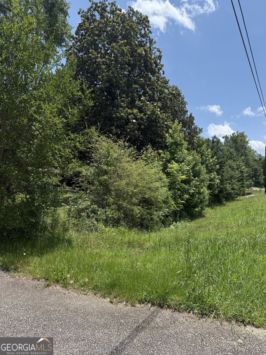 1810 Highway 138 Stockbridge - Photo 13