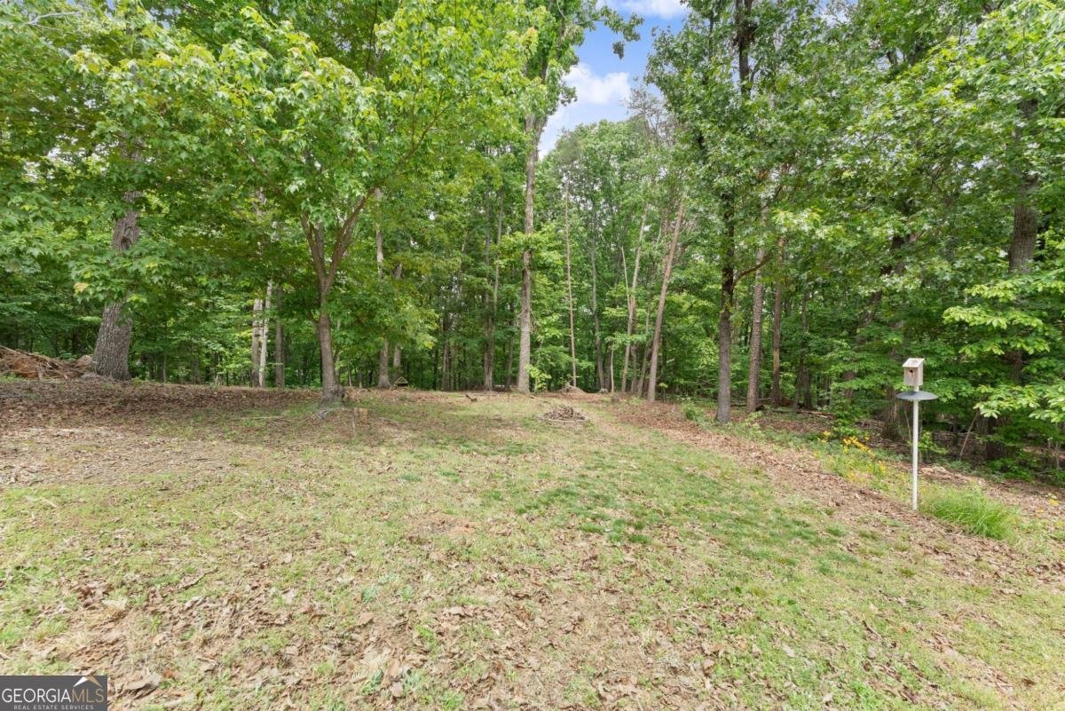 652 Shadow Mountain Lane Cleveland - Photo 40