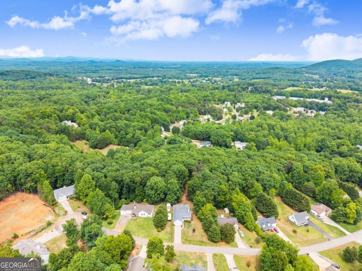 652 Shadow Mountain Lane Cleveland - Photo 45