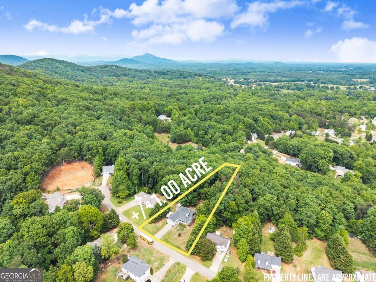 652 Shadow Mountain Lane Cleveland - Photo 47
